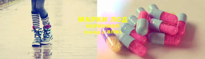 LSD-25 экстази кислота Болотное